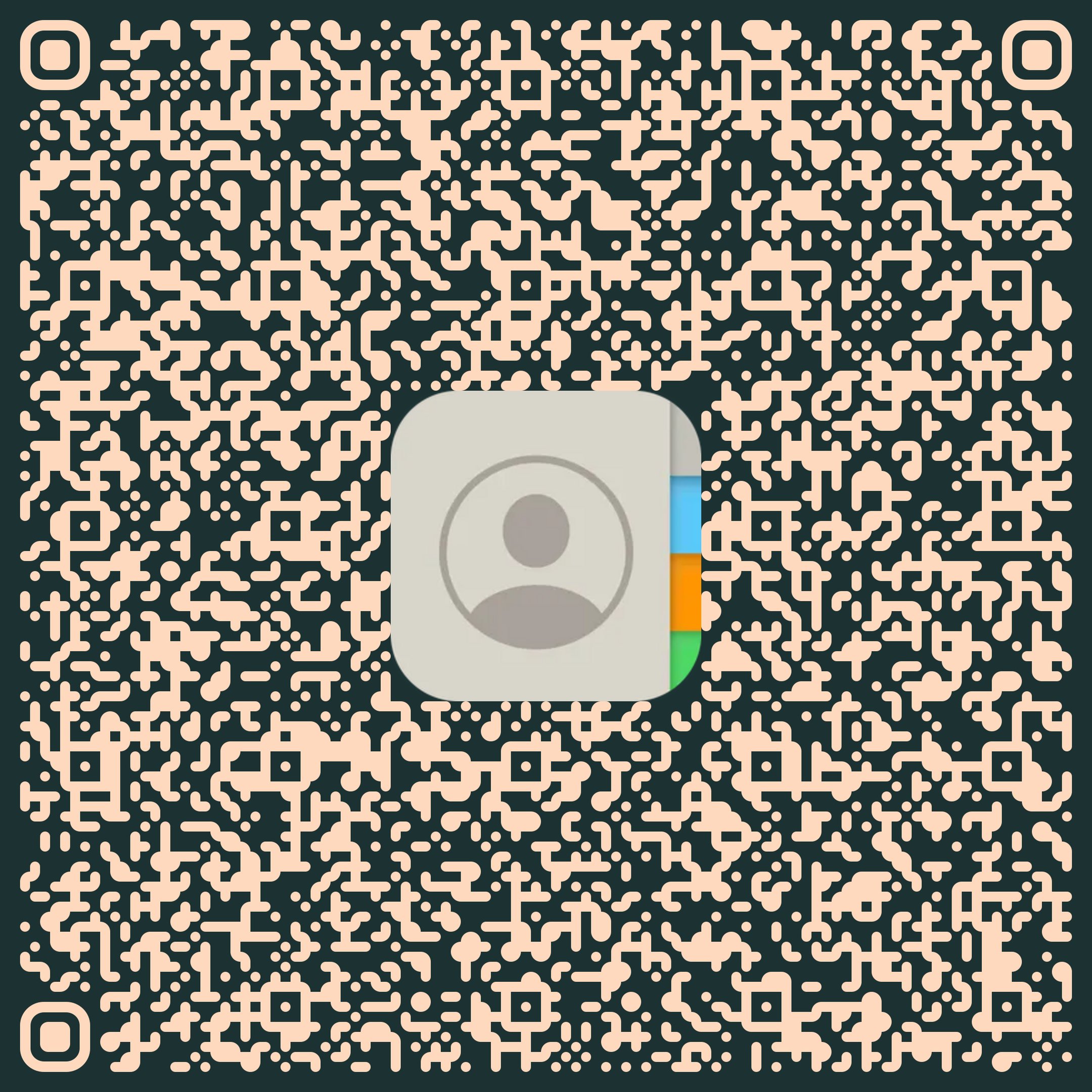 QR Code V-Card Luca Montella